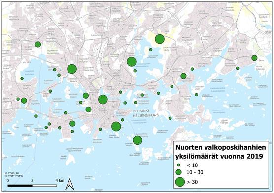 Fördelningen av sommarens ungar i Esbo och Helsingfors 31.7.2019